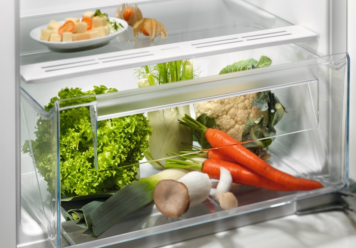 ugradni-frizider-electrolux-LRB3AE12S-fioka ELECTROLUX LRB3AE12S ugradni frižider bez komore za zamrzavanje