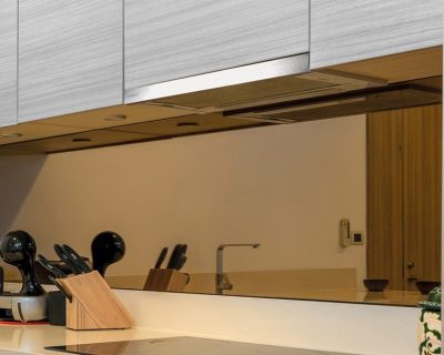 CATA TF-2003 DURALUM 600 teleskopski aspirator