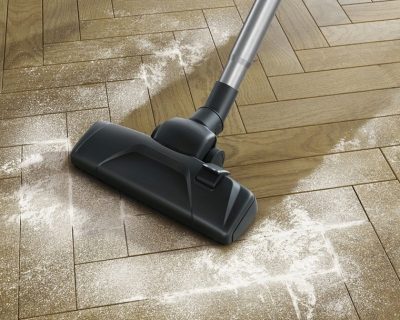 ELECTROLUX EPF61RR PwerForce usisivač sa vrećicom