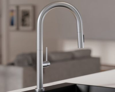 Slavina KANDO P0902 INOX sa tušem