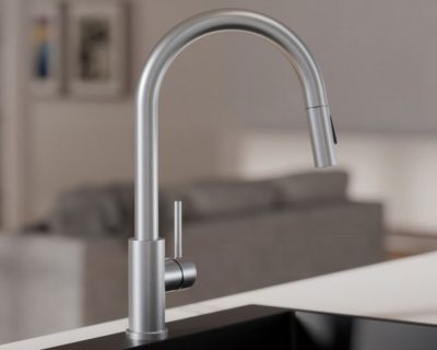 Slavina KANDO P0901 INOX sa tušem