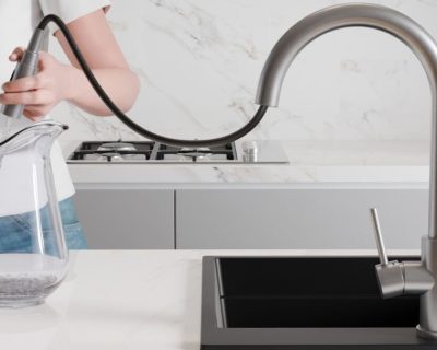 Slavina KANDO P0901 INOX sa tušem