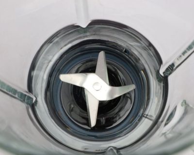 ELIT BW-19 blender 500W